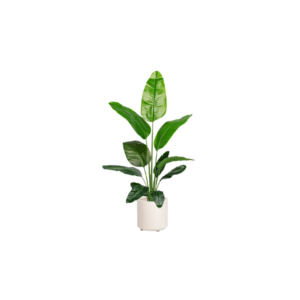 仿真旅人蕉植栽