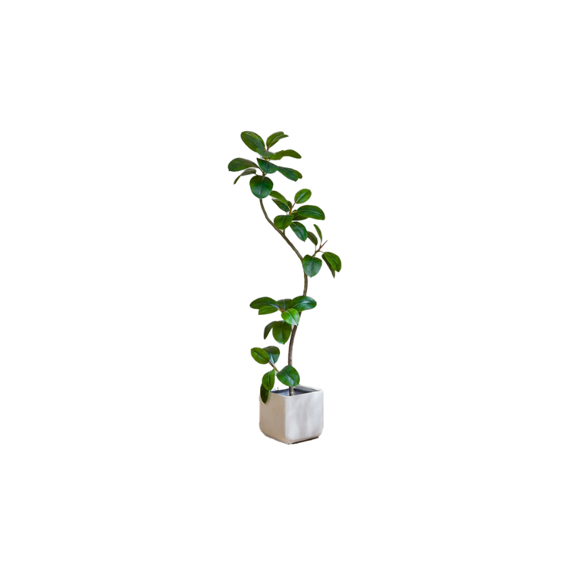 FOLIAGE 綠金剛仿真植栽 - 細節特寫